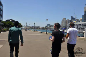 google sydney offices