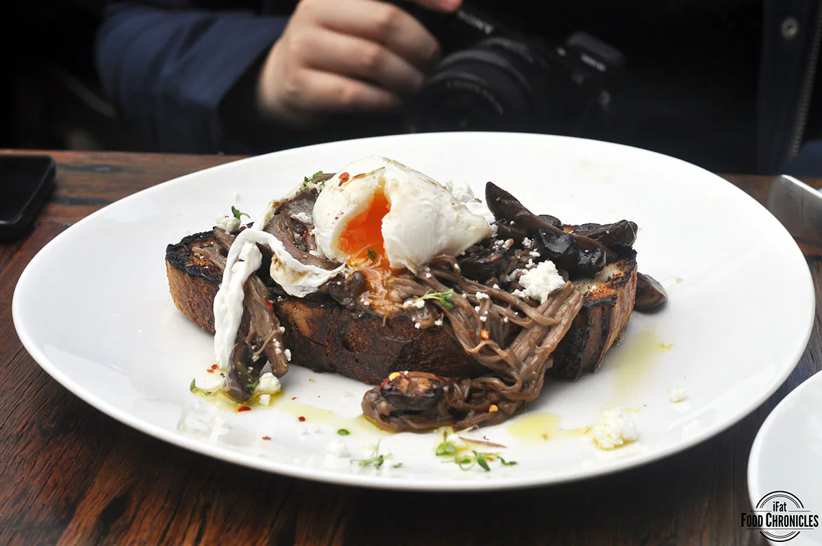 mushrooms on toast cafe oratnek