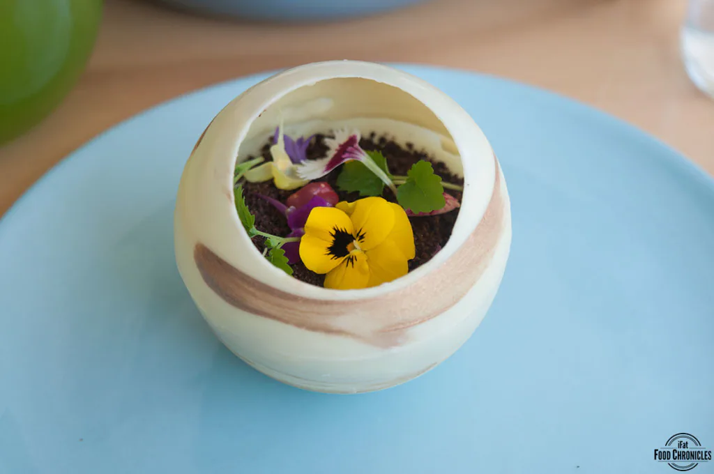 petal met sugar terrarium