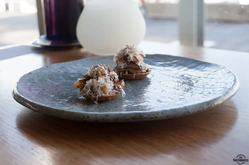 lumi mushroom tartlet