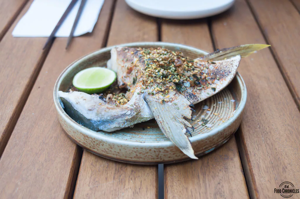 monkeys corner kingfish