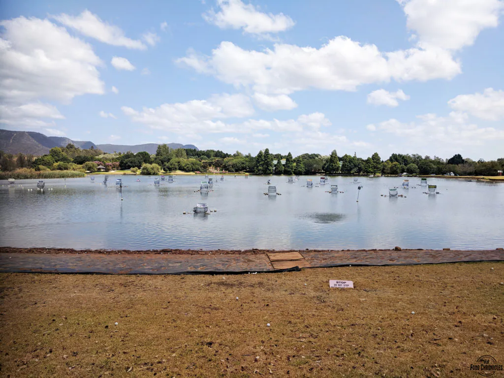 Hunter Valley Aquagolf