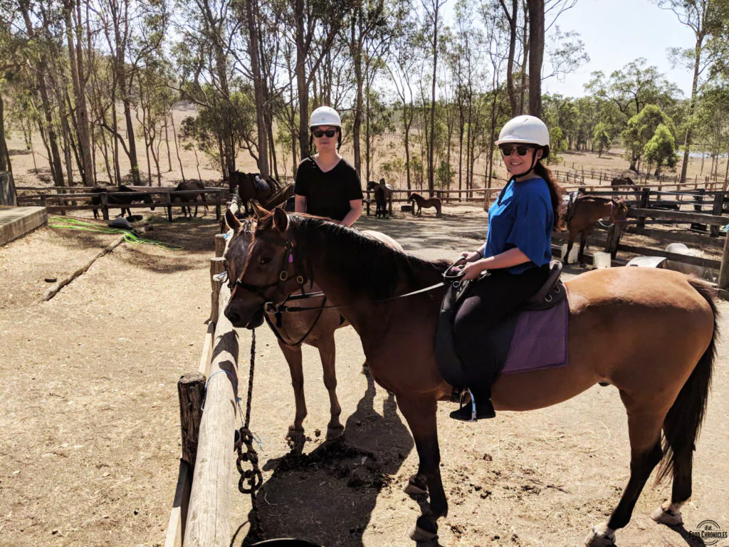 Hunter Valley Horseriding