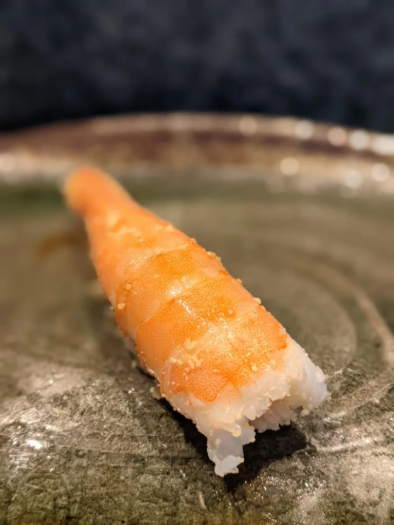 Paradise prawn